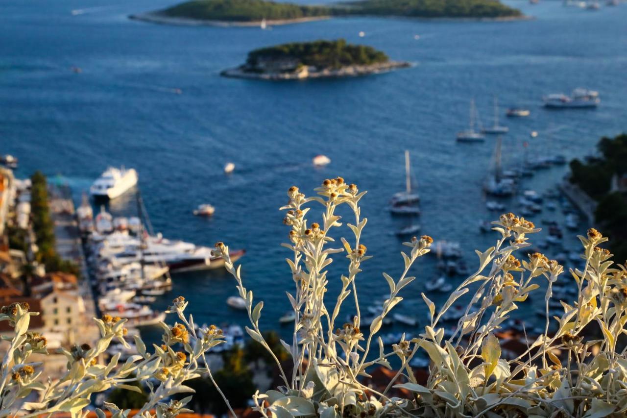 Feelhvar Along Bluelagoon Beach Hvar Town Esterno foto